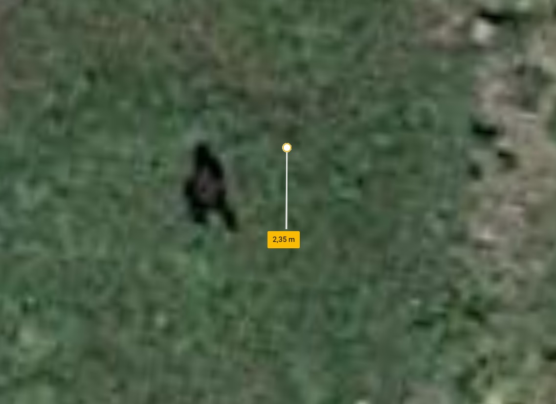 Internautas estão intrigados com suposto pé grande presente em imagem tirada do Google Earth