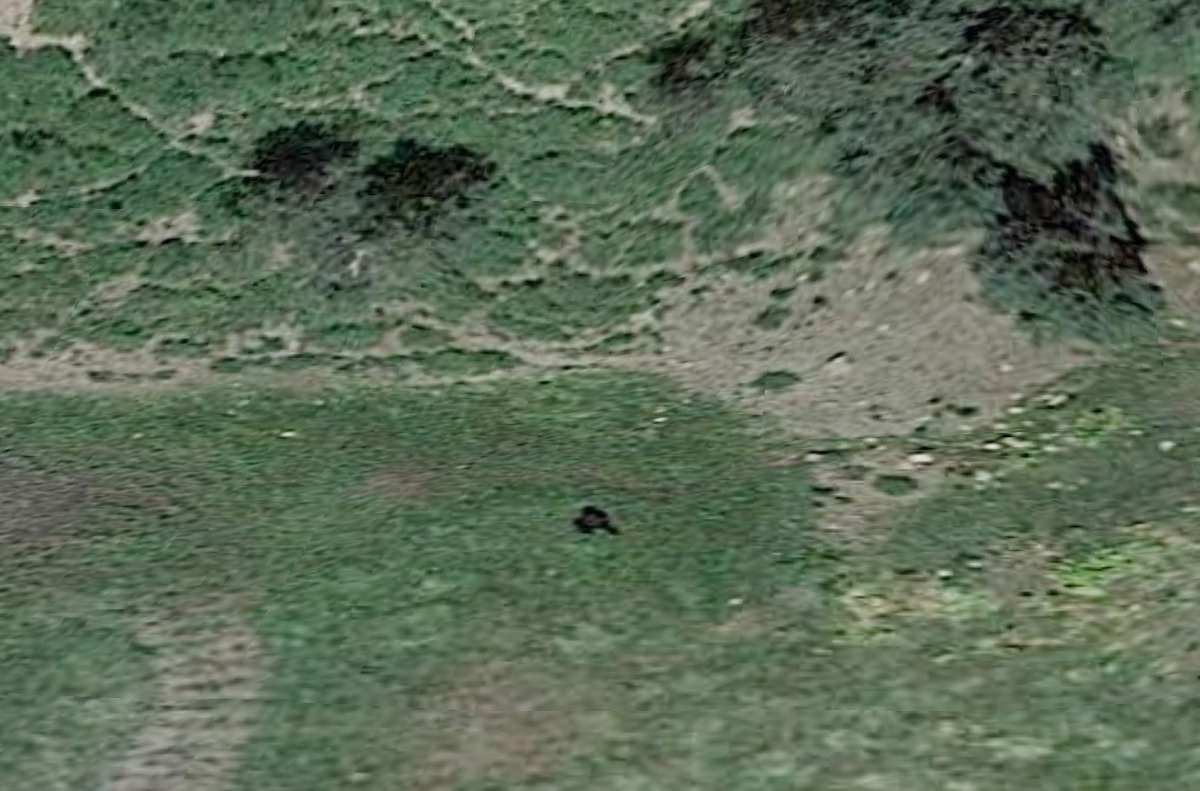Internautas estão intrigados com suposto pé grande presente em imagem tirada do Google Earth