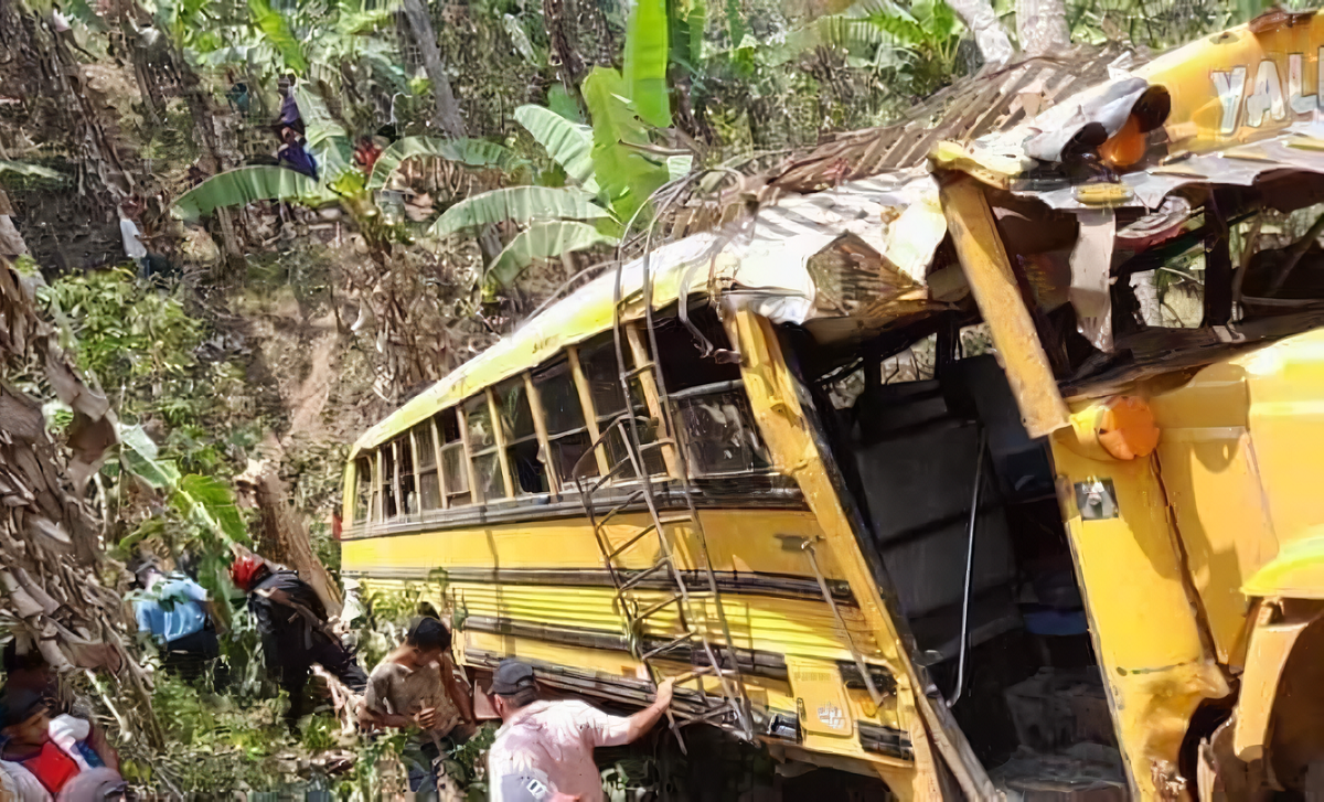 Ônibus cai em barranco na Nicarágua e seis pessoas morrem após serem picadas por abelhas
