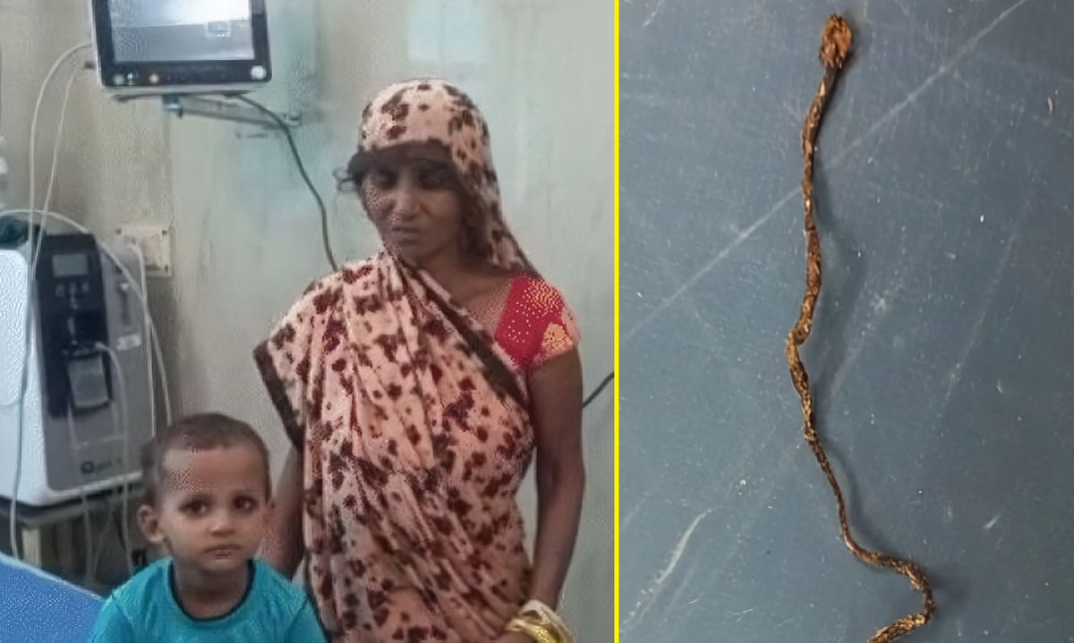 Bizarro: menino de 3 anos mastiga e mata cobra em vilarejo de Uttar Pradesh, na Índia