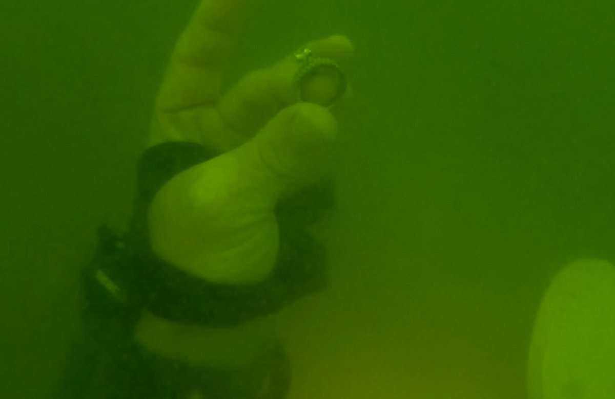 Missão impossível? Mergulhador encontra aliança de mais de R$ 45.000 perdida em lago da Califórnia, nos EUA