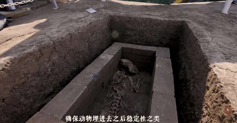 Feito inédito: arqueólogos chineses encontram esqueleto completo de panda gigante em tumba de imperador
