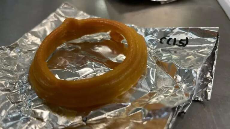 Cientistas criam anel de lula vegano idêntico ao natural, usando impressora 3D