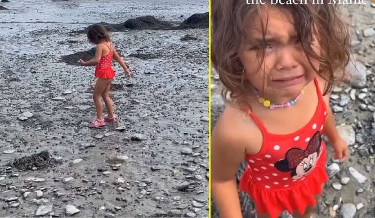 Menina da Flórida viraliza ao chorar com praia cheia de pedras no estado do Maine