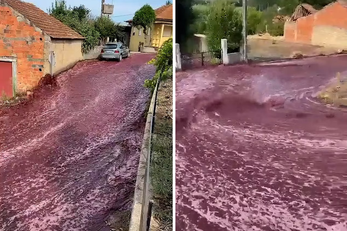 VÍDEO: derramamento de vinho em cidade de Portugal deixa rua com enxurrada vermelha