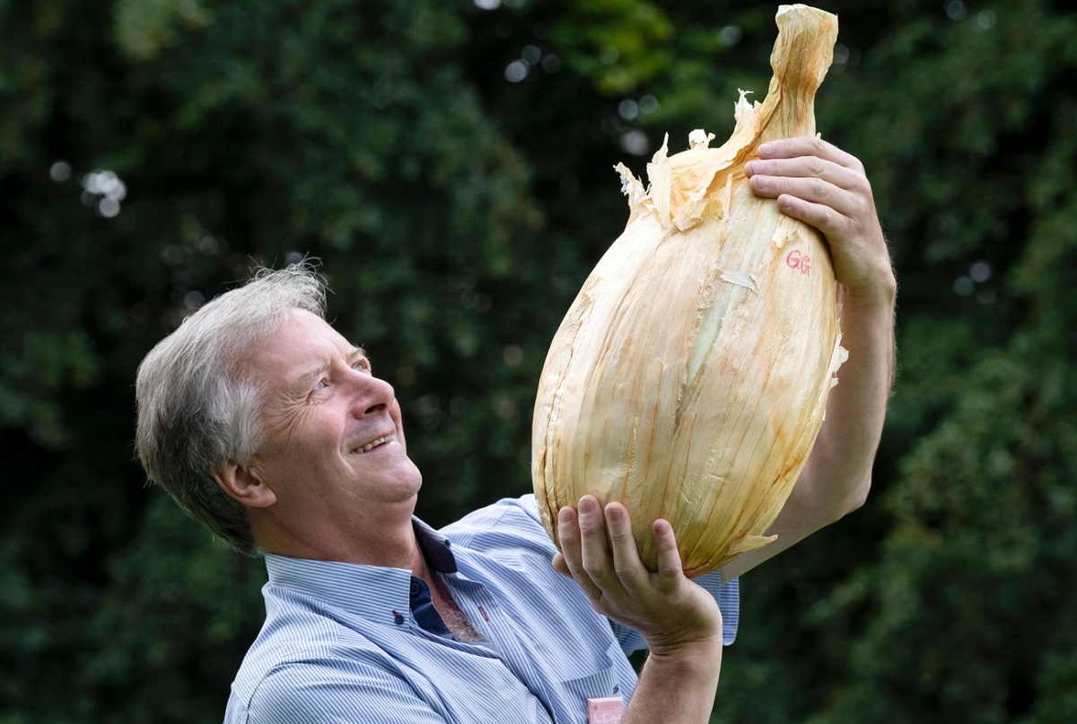 Fazendeiro britânico vence competição de vegetais gigantes com cebola que pesa quase 9 kg