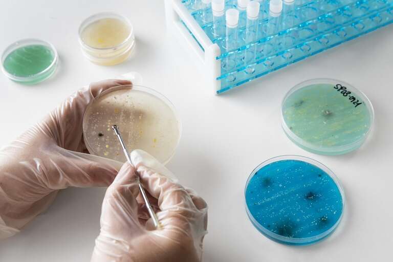 Superbactérias chegariam aos hospitais "ocultas" nos pacientes que vão afetar, diz estudo