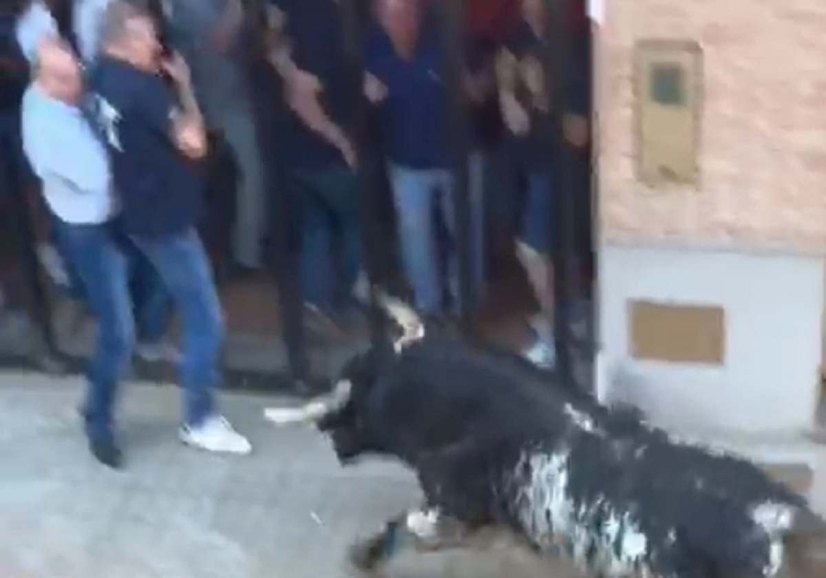 VÍDEO: tourada na vila de La Pobla de Farnals, na Espanha, deixa um homem morto e outro ferido