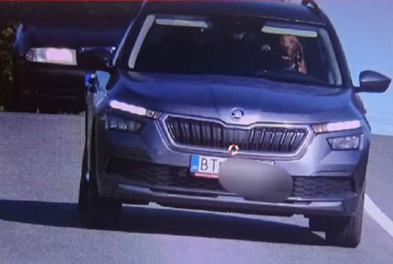 Radar flagra carro em alta velocidade na Eslováquia com cachorro no lugar do motorista