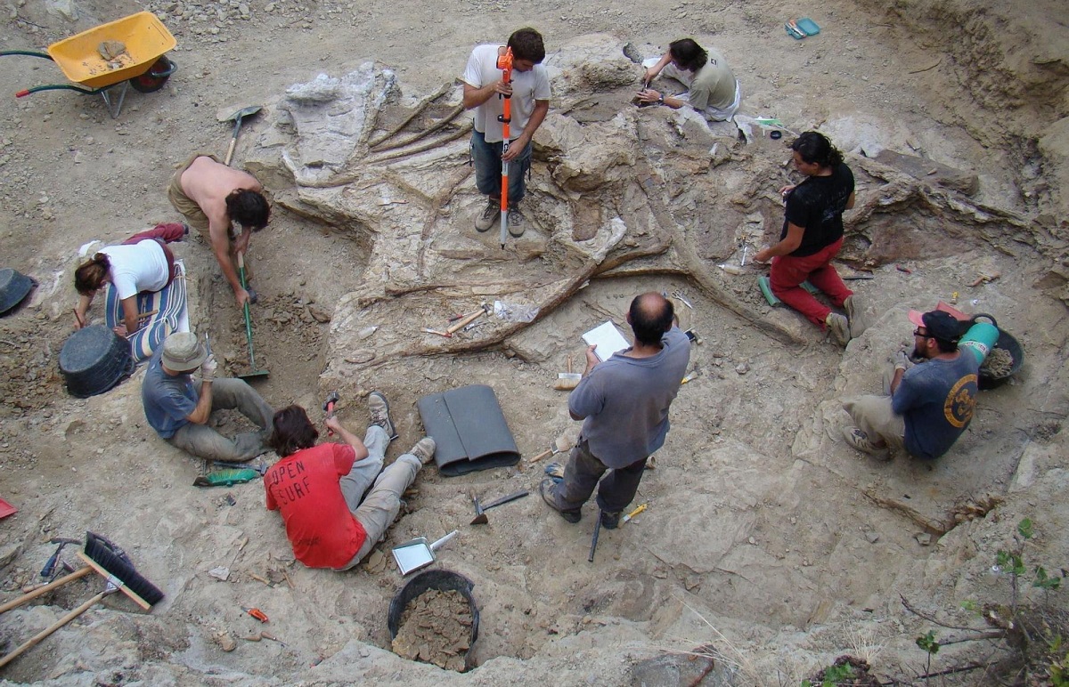 Cientistas revelam um titanossauro de 25 metros de comprimento que viveu na Espanha