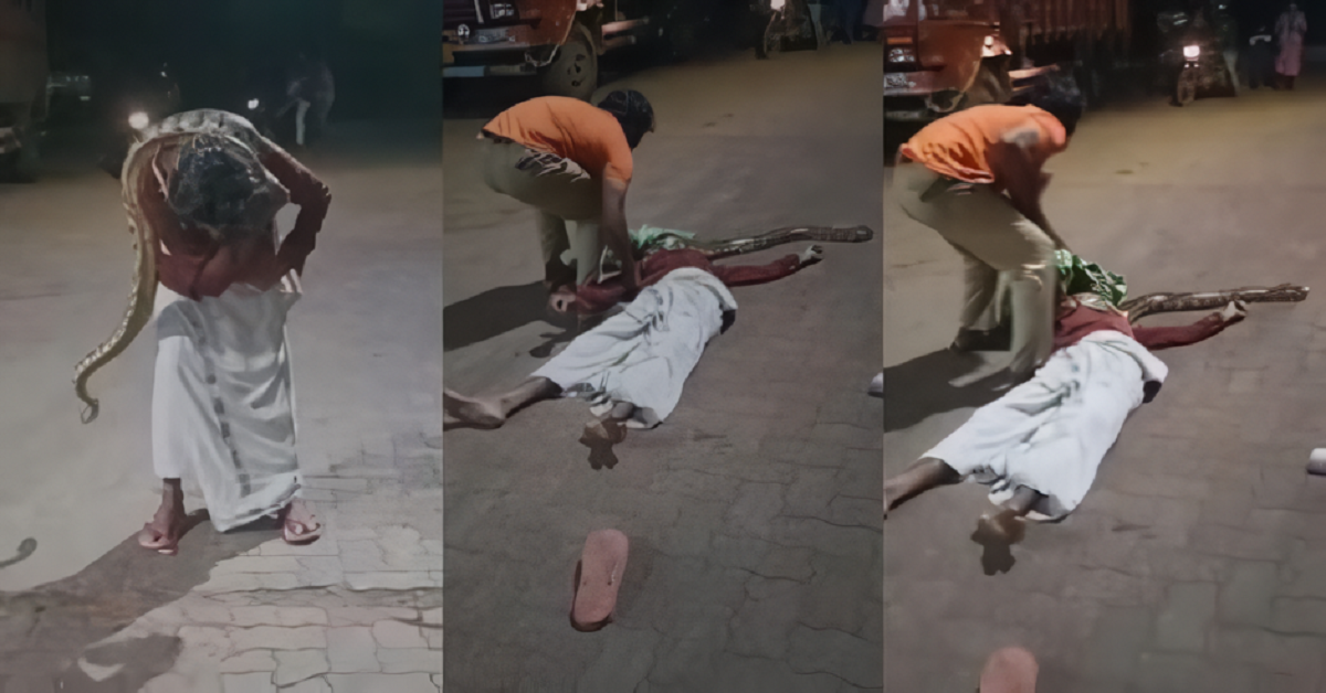 VÍDEO: bêbado quase morre estrangulado por cobra píton na Índia