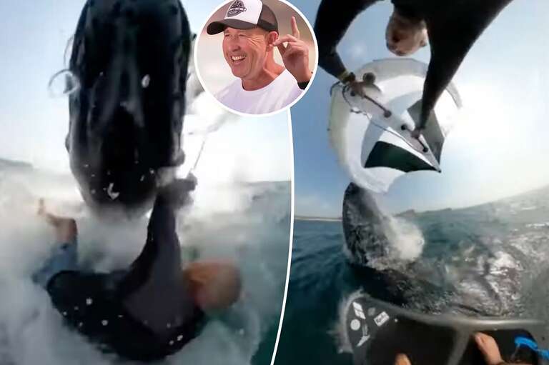 VÍDEO: surfista registra "trombada" com uma baleia-jubarte na Austrália