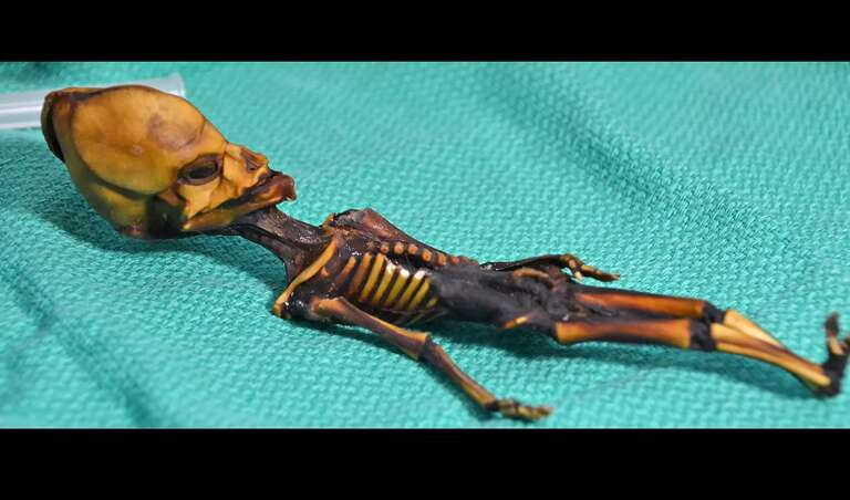 Esqueleto de “alienígena anão" descoberto há 20 anos seria de um humanoide, diz pesquisador espanhol