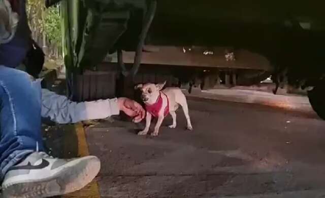 VÍDEO: geleira derrete, eleva nível de rio e causa desabamento de casa no Alasca