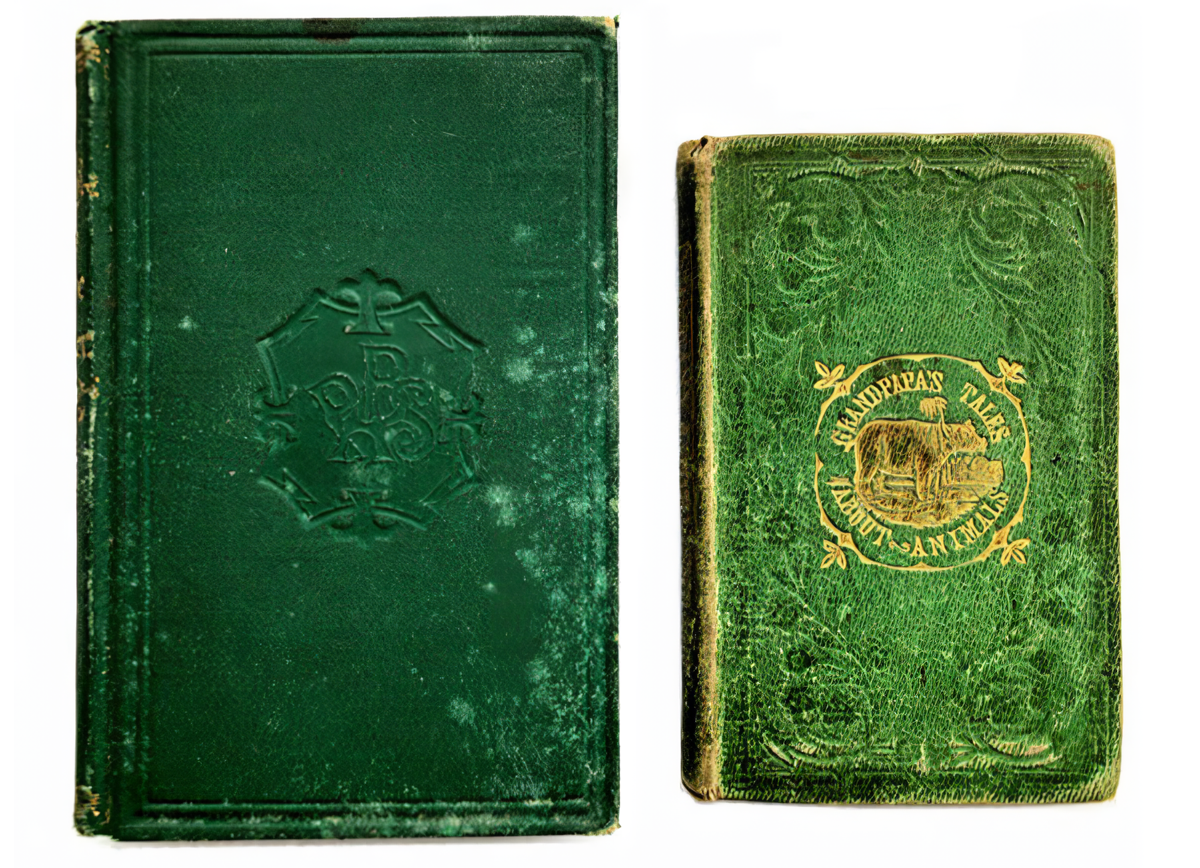 Sabia que ler um livro pode te matar? Ao menos se ele for do século XIX e com capa na cor verde-paris