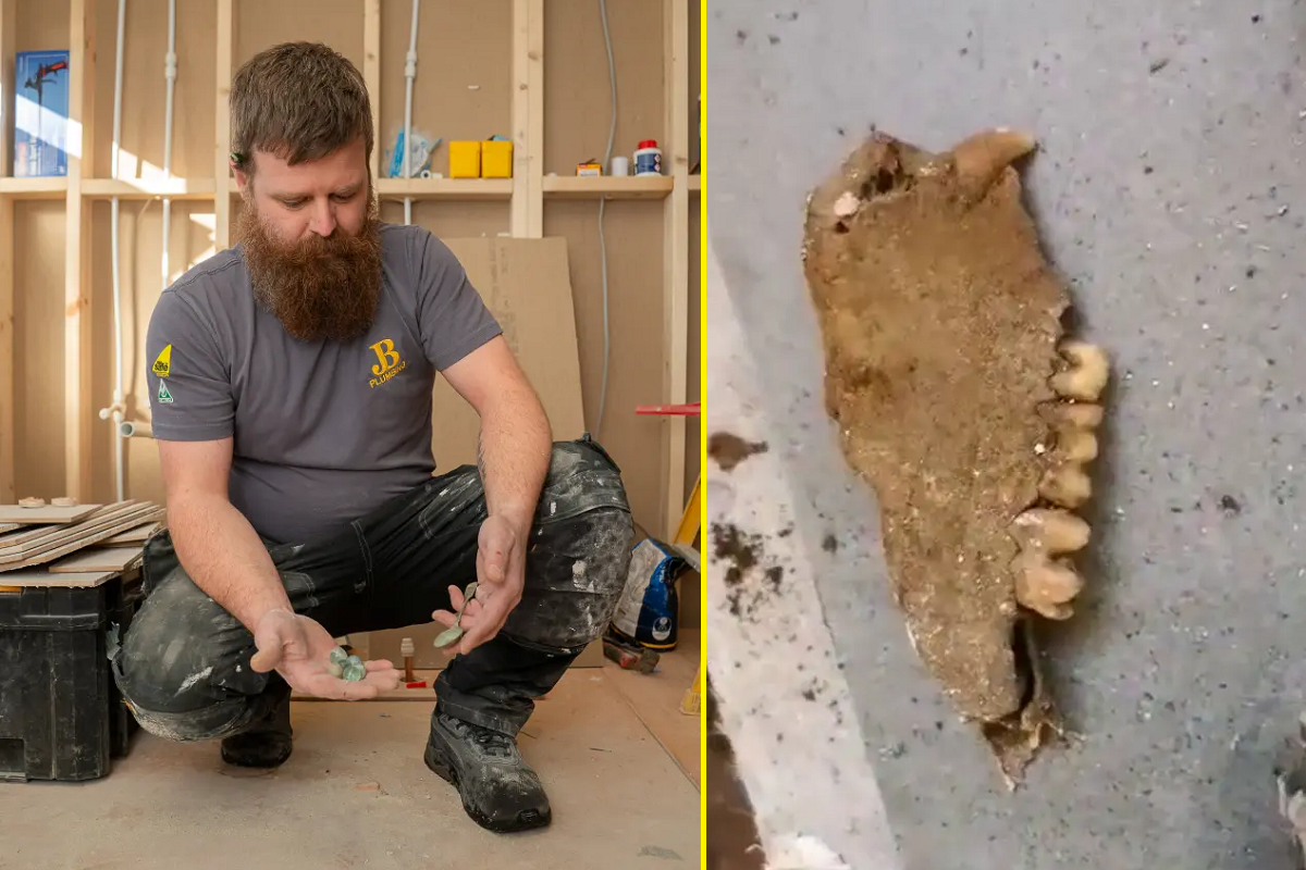 VÍDEO: encanador se assusta ao encontrar 20 ossos sob o piso de um banheiro no Reino Unido