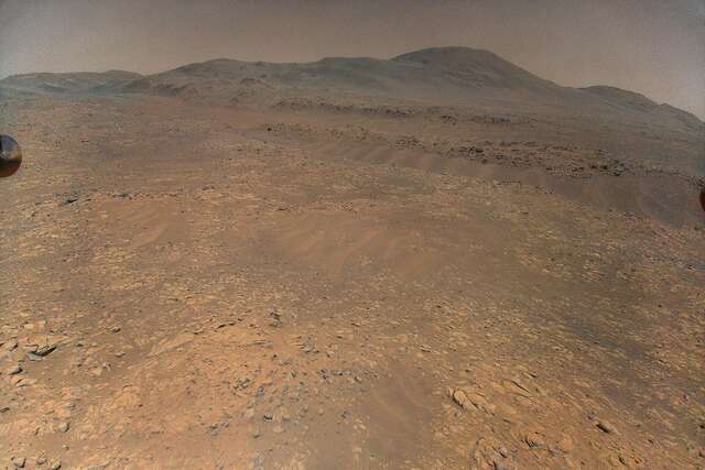 Flor em Marte? Veja a estrutura estranha fotografada pelo robô Curiosity