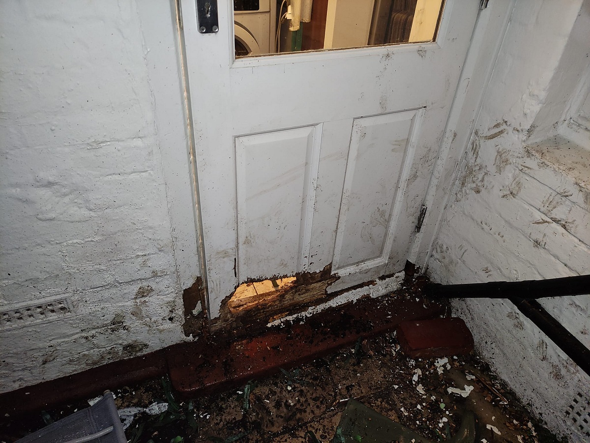 VÍDEO: família chega de viagem e encontra casa destruída por texugo no Reino Unido