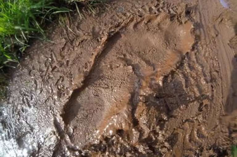 Pegada “misteriosa” associada ao Pé Grande é descoberta em Devon, no litoral do Reino Unido