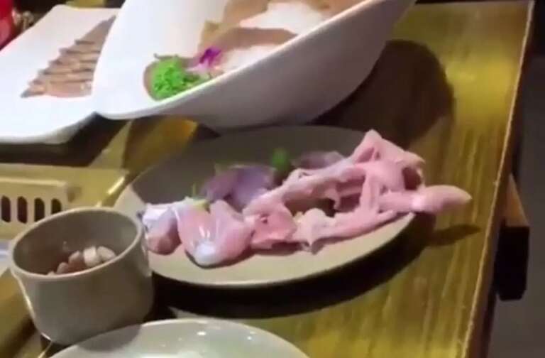 VÍDEO: carne “se mexe” no prato de cliente e “pula” da mesa, deixando internautas horrorizados