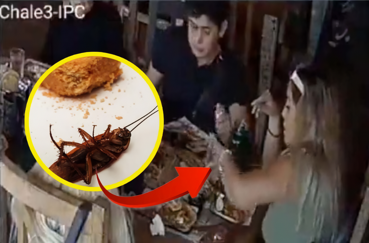 VÍDEO: restaurante mexicano acusa família de colocar barata em refeição para não pagara conta