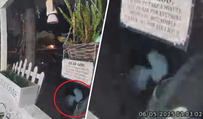 VÍDEO: câmera de segurança flagra suposto alienígena perto de Los Angeles, na Califórnia